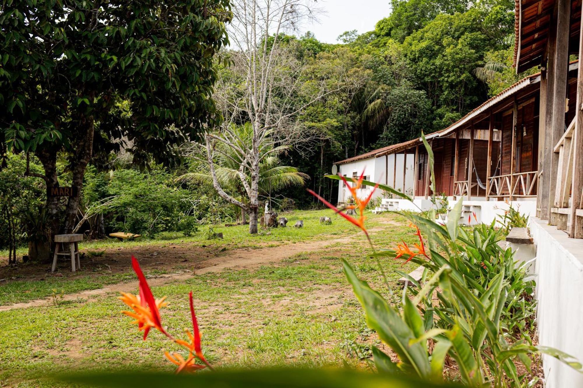 Refugio Mari Mari Lodge Presidente Figueiredo Exteriör bild